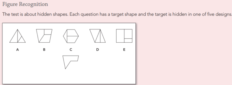 Free CAT4 Practice Tests & Different Type Of CAT4 Questions