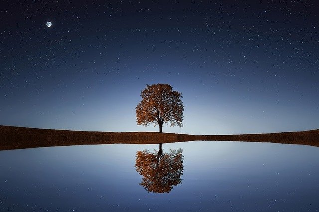 Picture of a tree its reflection in a large lake - represents reflection as a key driver to learning both knowledge and cognitive abilities as measured by the CAT4 which will help get into the best school. 