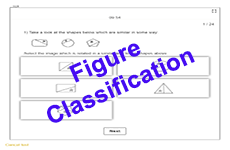 CAT4 Practice Figure Classification Test